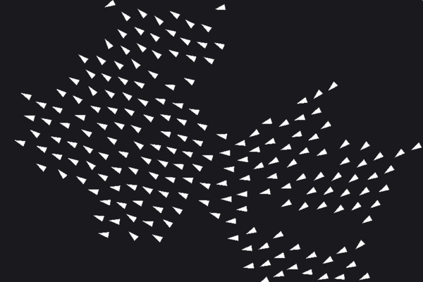 Flocking Simulation