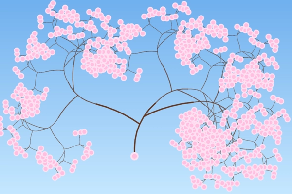 Fractal Garden